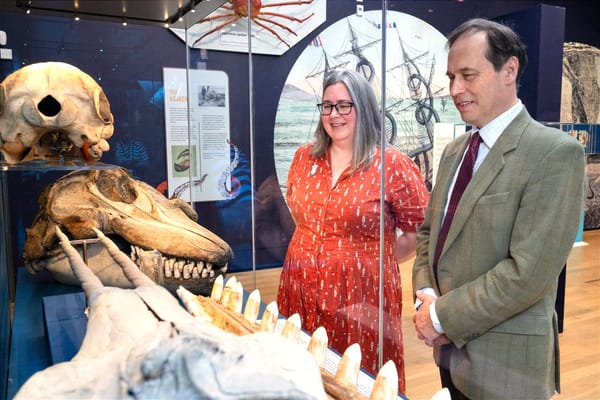 Martin Greig and Helen Fothergill looking at marine skulls and bones in a glass case at Aberdeen Art Gallery’s Monsters of the Deep exhibition.