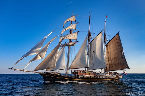 The Dutch tall ship Gulden Leeuw sails with full white sails against a blue sky and sea, viewed in profile. profile.