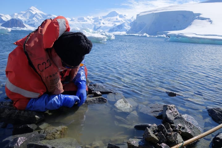 John Spicer crouches in protective gear by Antarctic waters, examining rocks and marine life